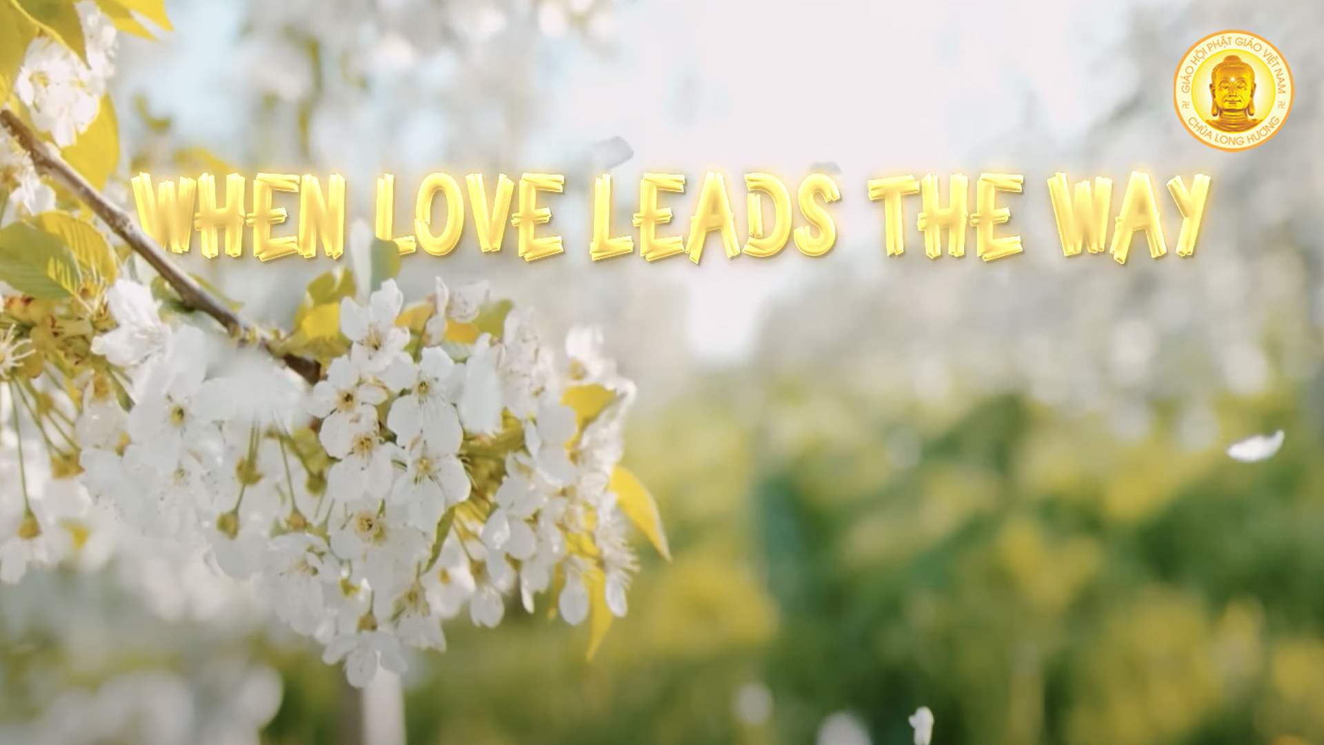 WHEN LOVE LEADS THE WAY | English sing-along | KHI YÊU THƯƠNG DẪN LỐI (T.S. VÔ TRỤ)